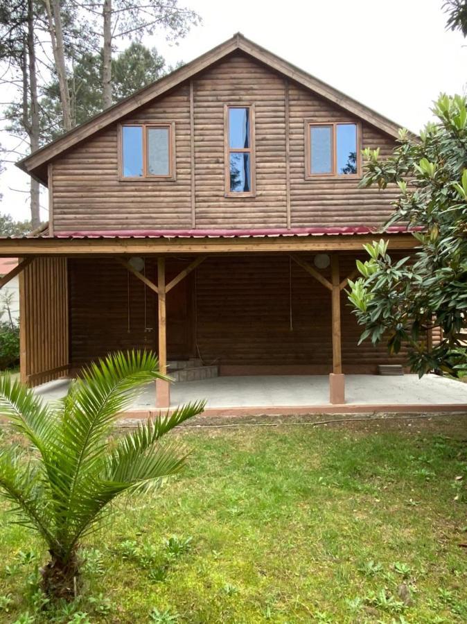Green Cottage Shekvetili Ureki Dış mekan fotoğraf