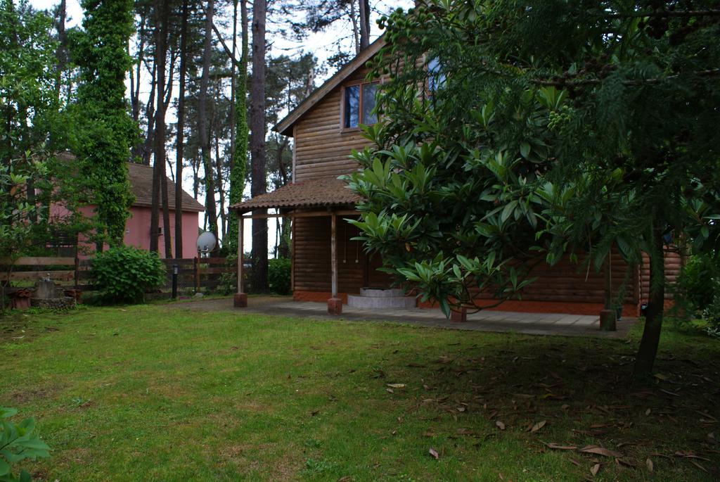 Green Cottage Shekvetili Ureki Dış mekan fotoğraf