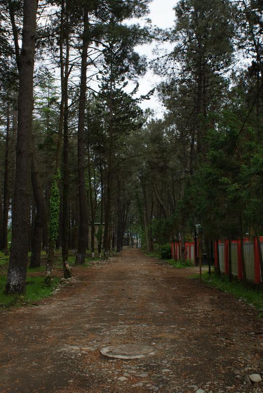 Green Cottage Shekvetili Ureki Dış mekan fotoğraf