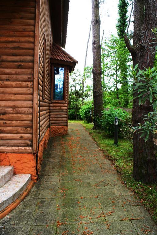Green Cottage Shekvetili Ureki Dış mekan fotoğraf